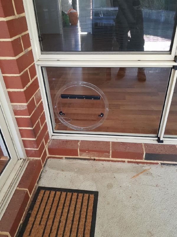 dogdoorinwindow Cockburn Glass